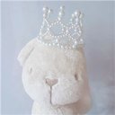 Phoenix Nick - @PhoenixNick15 - Twitter