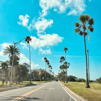 Willitts Mendonca (@willittsm) 's Twitter Profile Photo