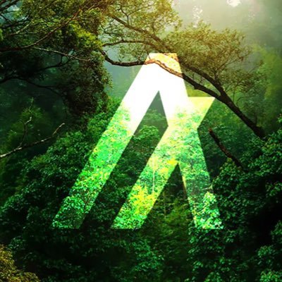 AlgoWeb3Korea's profile picture. Bringing together web3 builders in Korea! Let’s grow together, build on Algorand!