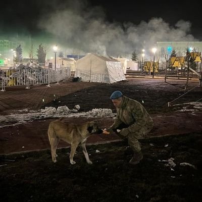 Yalcinfindik's profile picture. Gazeteci ve foto muhabiri
#Bursa #Kocaeli #Giresun