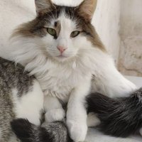 Isaa (@bella_2silvaa) 's Twitter Profile