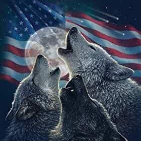 toxicwolf28's profile picture. Mess with my girlfriend I show you what toxic is ❤taking❤