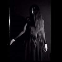 Novellus (@novellusfet) 's Twitter Profile