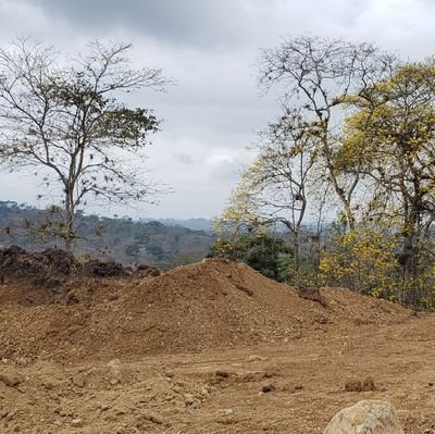 robertoluzu's profile picture. Libre pensador, humanista, anti dogmas.