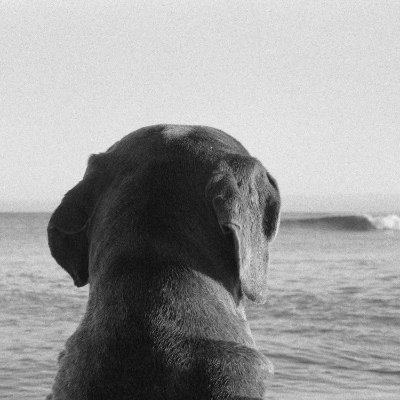 alspabla's profile picture. (he/him) • artist • photo, film & sound enthusiast • digital art collector • expanding my rabbit hole