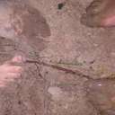 Mindy Fuller - @mindyrlou85 - Twitter