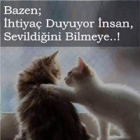 Cemil Tekim (@cemil63066955) Twitter profile photo