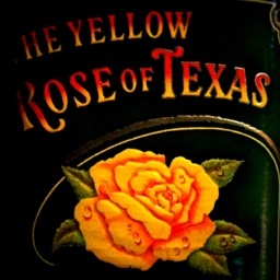 cho_co_a's profile picture. 幅広く色々、職業デザイナー 。
仕事においては追われる日々。
そろそろ追いたい。
恋愛の方は追われたい。
そうこう言っても、もう恋愛を超えたい。
日々、適当につぶやいてます。