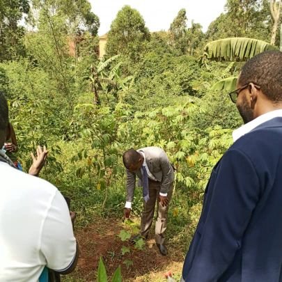 famousLeuben's profile picture. Climate action