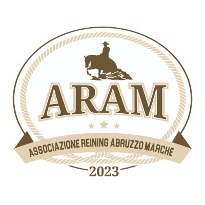 aramreining Profile Picture