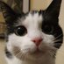 HistoryWilbs (@suzannewilbs) Twitter profile photo HistoryWilbs (@suzannewilbs) Twitter profile photo