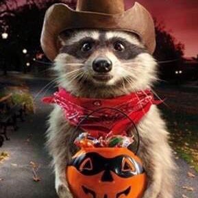 MrZwazzy's profile picture. 