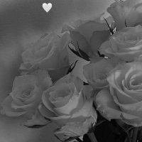 Həsənova Aytən (@hsnvayten) 's Twitter Profile Photo