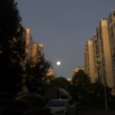 喜巨乳巨臀bbw,性瘾,享受性爱,在一个小城市 。大部分是自己约的素人不共享,也会约圈里的,在这里只是记录,动态均为原创,偶尔更新日常和视频,不卖片不卖资源不差钱,喜欢看就欢迎关注谢谢