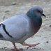 𝚙𝚒𝚐𝚎𝚘𝚗 𝚒𝚗 𝚝𝚑𝚎 𝚍𝚛𝚒𝚏𝚝 (@topogeny) Twitter profile photo 𝚙𝚒𝚐𝚎𝚘𝚗 𝚒𝚗 𝚝𝚑𝚎 𝚍𝚛𝚒𝚏𝚝 (@topogeny) Twitter profile photo