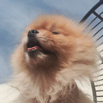 LK16686705's profile picture. 