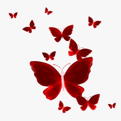 AmtafDousam's profile picture. الحمد لله على كل حال 😊