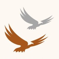 Pernicious Birds « Underground » out August 26 ! (@birdspernicious) 's Twitter Profile