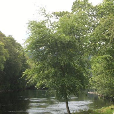 John65951474's profile picture. Avid Saints and Hampshire cricket fan.