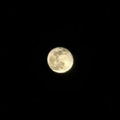 l33d0hyun_sub's profile picture. @l33d0hyun