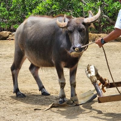 yuko021_'s profile picture. 文系からシステム職へ移動して2年目💻
勉強モチベあげるためのアカウントです☺