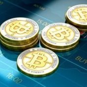 MushtaqNeftali's profile picture. Plus, it really teaches the baby who's boss