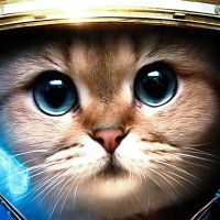 AlejandroVergara (@alejandro_larv) 's Twitter Profile