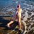 The_Dawsons_Qld's profile image