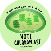 🌱Chloroplast(@ChloroCares) 's Twitter Profile Photo