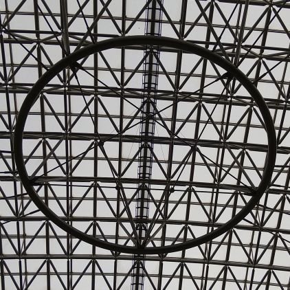 noskynolotus's profile picture. 🪷