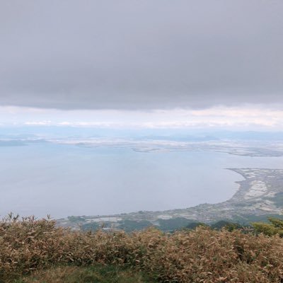 YY16461252's profile picture. 