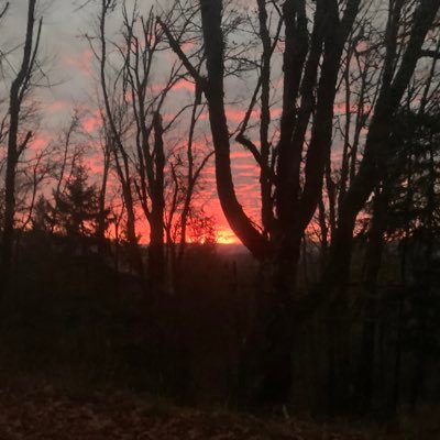 sucksatfortnite's profile picture. 