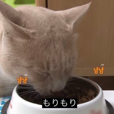 ender215gm's profile picture. 新米情シス。なぜかネットワーク担当してます。