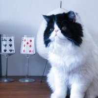 入江田翔太|株式会社MEBUKU (@s_irieda) 's Twitter Profile