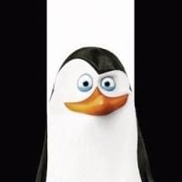 LordApapadi (@lord_apapadi) 's Twitter Profile