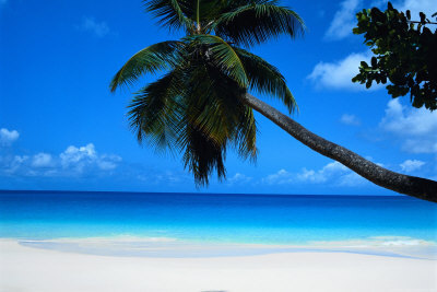 sunfunwater's profile picture. Wife, Mom, Student