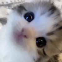 아기꿀떡!! (@jaezzange) 's Twitter Profile