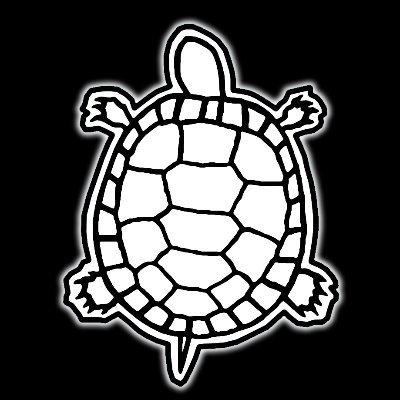 turtle_golf Profile Picture