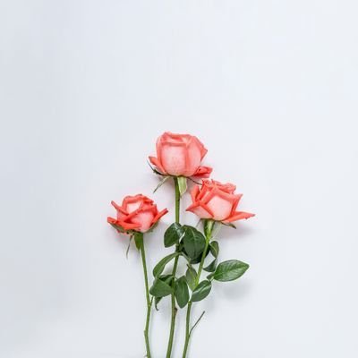 KaMkhb's profile picture. 