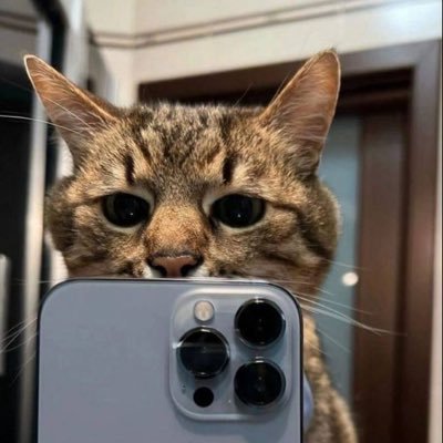 mana_xlll's profile picture. 今年21歳/23年2月からWebデザインスタート/ノーコード/プログラミング/動画編集/未経験エンジニア挑戦してます！