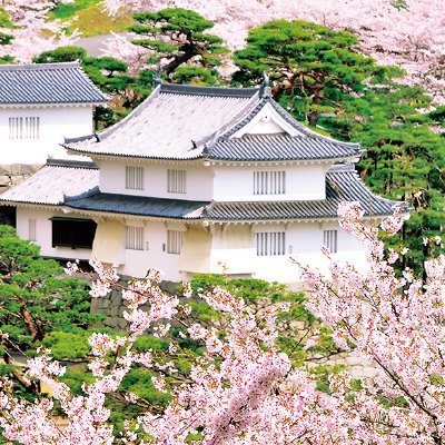 福島県二本松市のPR動画運営をはじめました。その他二本松地域でイベントなどを企画運営しています。
https://t.co/T95jGKrSgz