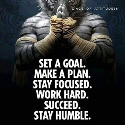 idomasteve's profile picture. 28GY6GAB