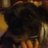debra_mckinnon's profile image