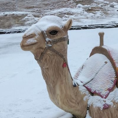 twstenki's profile picture. 東武ワールドスクウェアの情報を不定期報告☀️普段撮れない所からの写真や作業風景などを更新します😀公式Instagramでも投稿してますのでそちらもご覧下さい📷