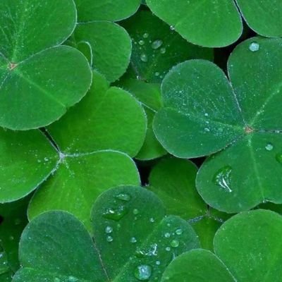 hiwei77's profile picture. 