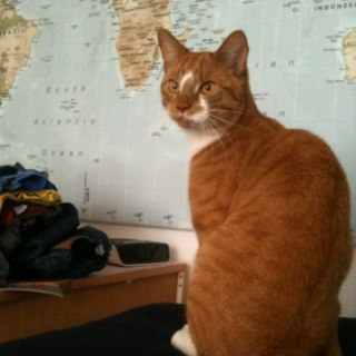 MichielG69's profile picture. Active cyclist, life is beautiful!!