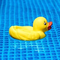 旅行したり、ちょっと近所を散歩したり、とにかく外を出歩くのが大好きです! 飲んだり美味しい物を食べるのも良いですね。よろしくお願いします。
旅行🚞散歩🛣食べ物🍔❤