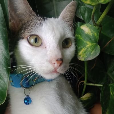 mx0eleidion's profile picture. YOU WILL COME BACK TO ME