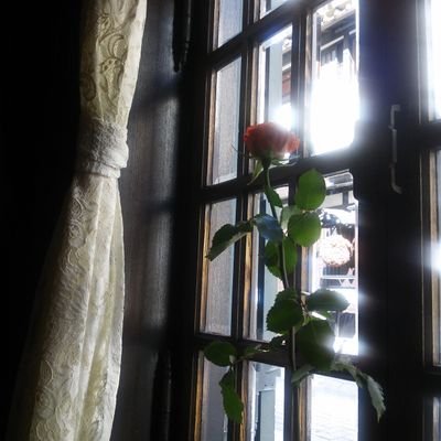 京都の街の空気感、静かな空間、洋館、
カフェ 読書 癒やされる曲 花が好き🌹
読書好きな人と繋がりたい
最近の趣味 花を育てること😌
皆さん、仲良くしてください🍀