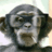 MeCagoEnLaPared's profile image